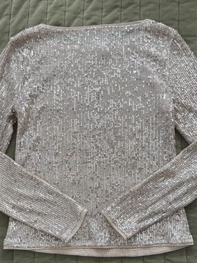 LOFT Champagne Sequin Long Sleeve Top